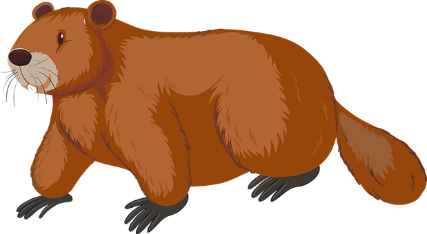 Free Beaver Tree vector and picture
