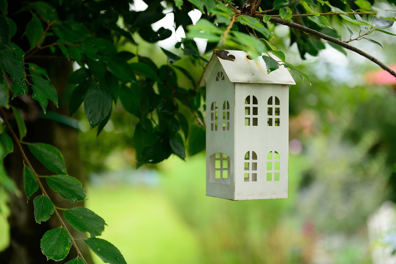 Maison D'Oiseau Feuilles Arbre - Photo gratuite sur Pixabay - Pixabay