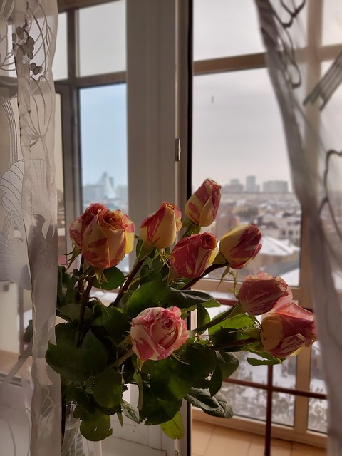 Free Morning Flowers photo and picture