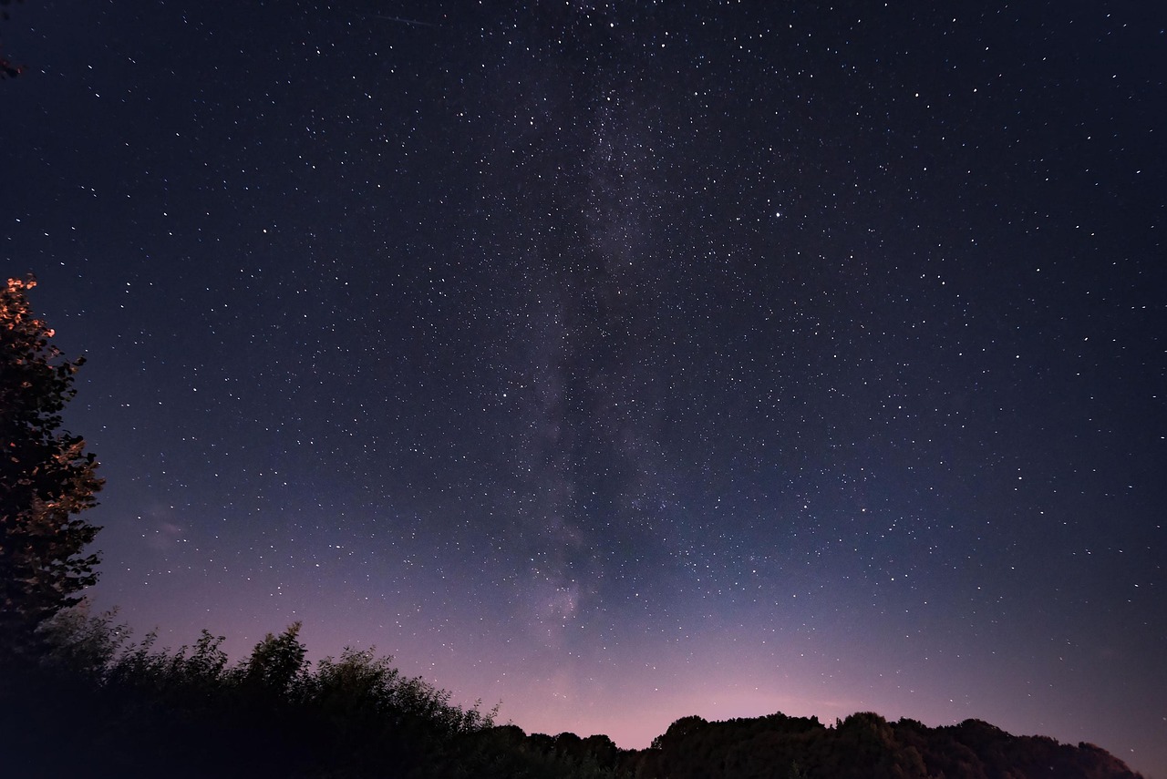 星星 夜晚 树木 - Pixabay上的免费照片 - Pixabay