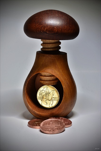 Tjekkisk Krone, Penge, Finansiere, Gæld
