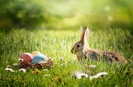 Ostern, Osterhase, Ostereier, Osterfest
