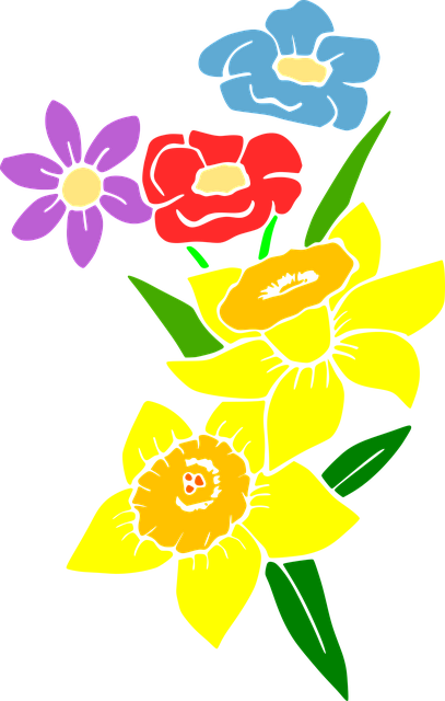 Free spring early spring narcissus vector