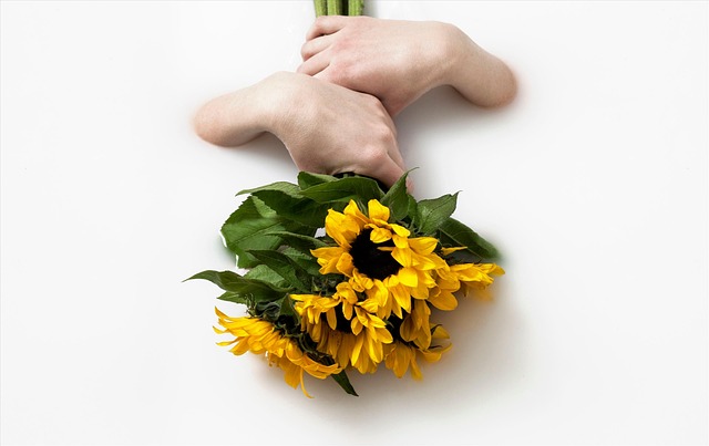 Holi, Familie, Blomst