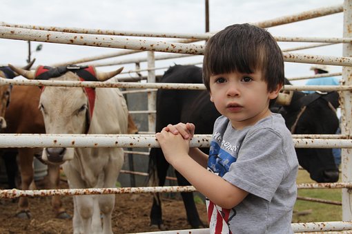 Free Child Boy photo and picture