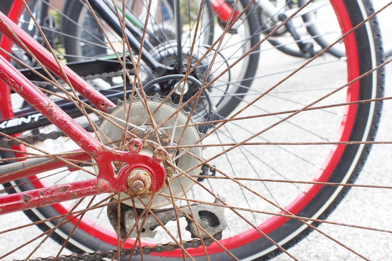 Bike Spokes Bicycle Free photo on Pixabay Pixabay
