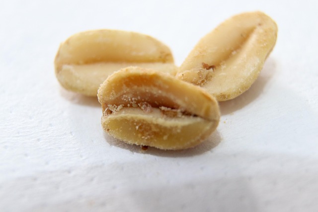 Free Peanut Roasted photo and picture