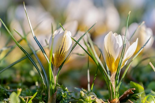 사금융빚 7800만원 개인파산 될까요4