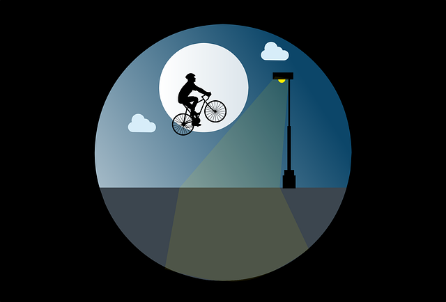 Free bike flying night vector