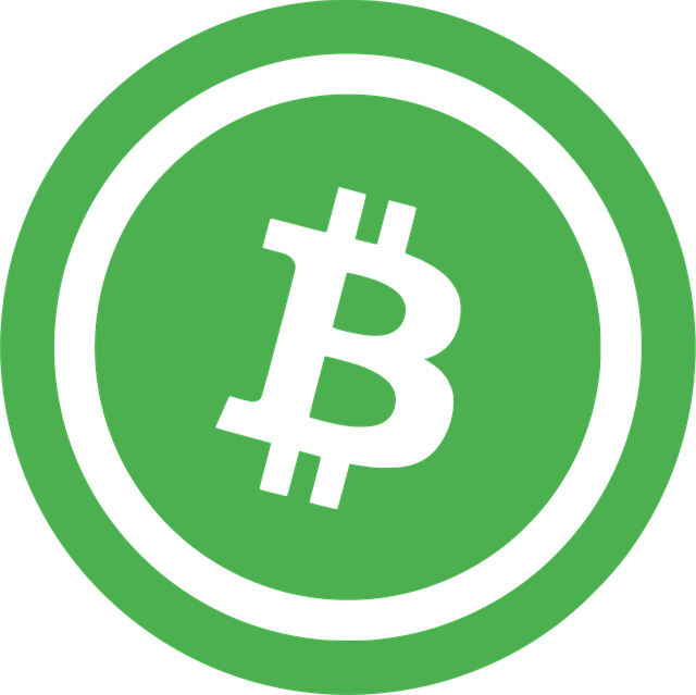 Free bitcoin coin symbol vector