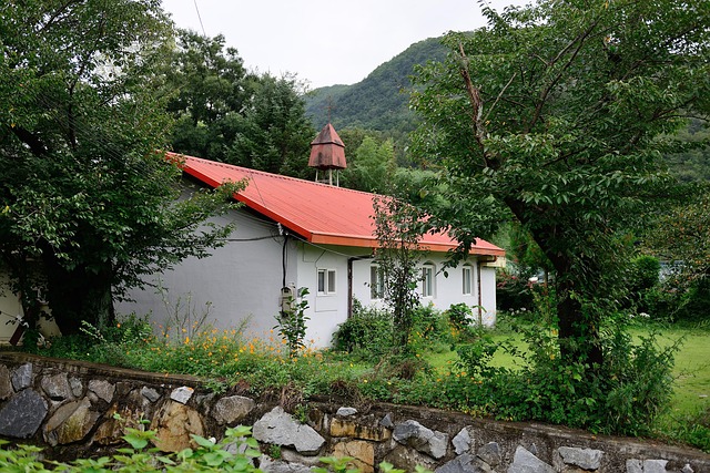 Countryside, Kirke, Natur, Landskab, Træ