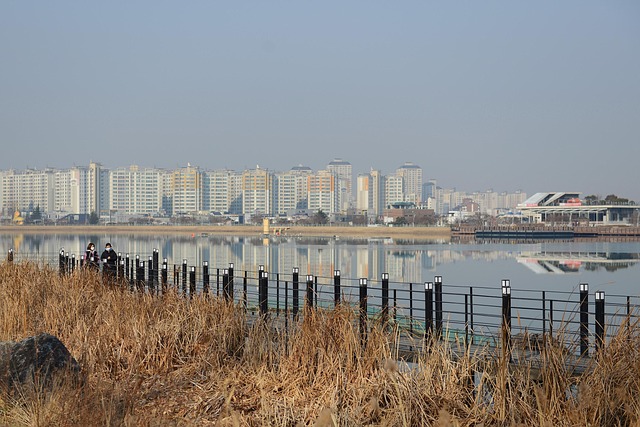 Siv, Sø, By, Strandpromenade, Sti