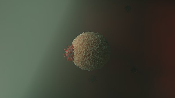 Free Biology Corona photo and picture