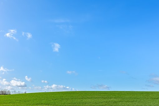 Weide, Natuur, Buitenshuis, Land, Lucht
