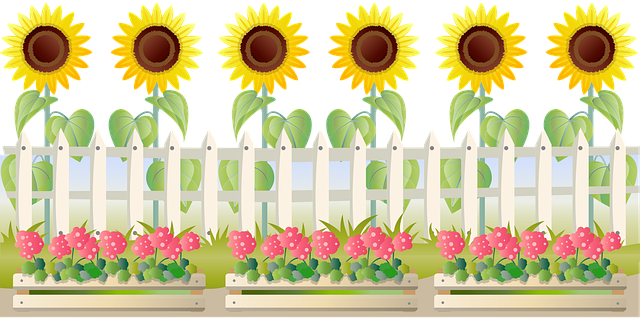 Free sunflower geranium flower vector