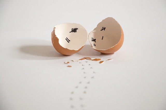Free Eggshells Eggs photo and picture