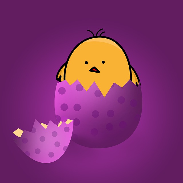 Download free HD stock image of Egg Chick Free egg chick hatch illustration