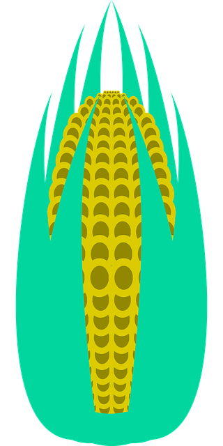 Free corn maze leaves vector