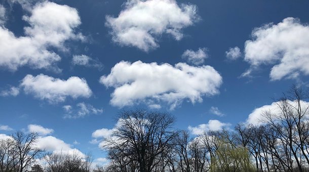 Free Sky Clouds photo and picture