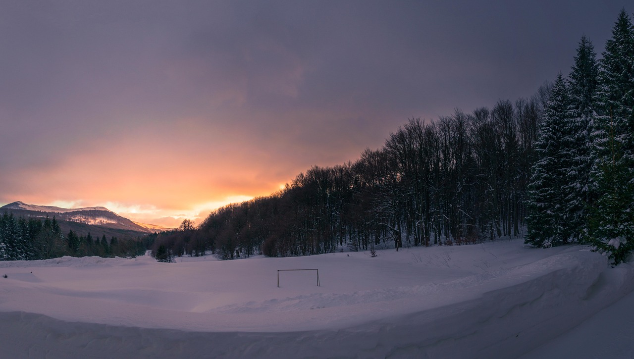冬天 雪 寒冷的 - Pixabay上的免费照片 - Pixabay
