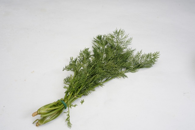Free Vegetable Green photo and picture