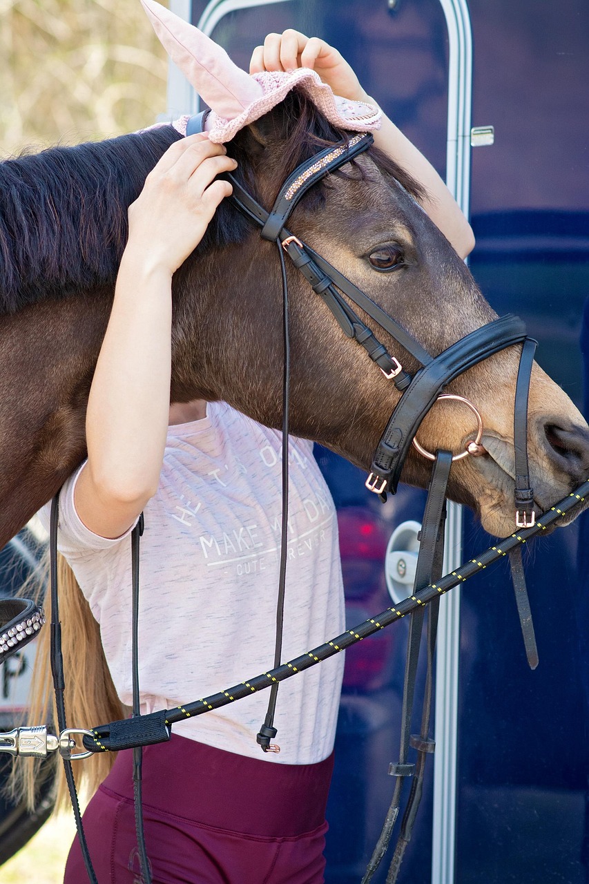 Jeune Femme Cheval Costume - Photo gratuite sur