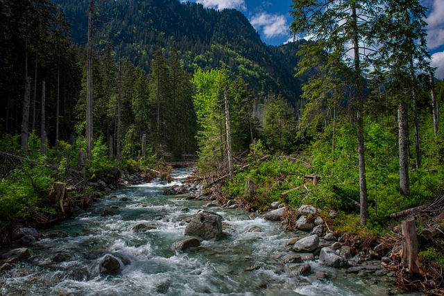 Free Roztoka Valley Tatry photo and picture