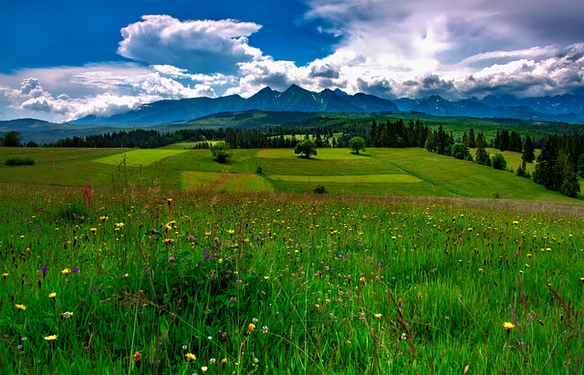 Free Tatry View photo and picture