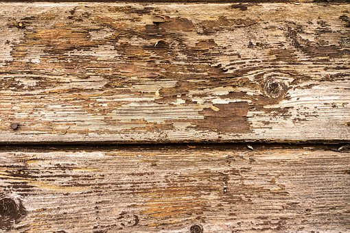 Free Wall Background photo and picture