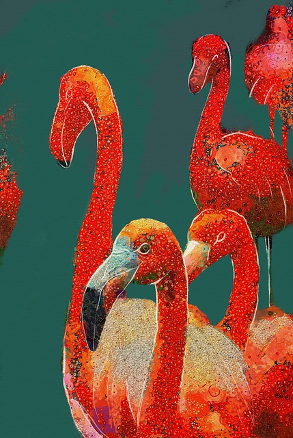 Free Flamingos Birds illustration and picture