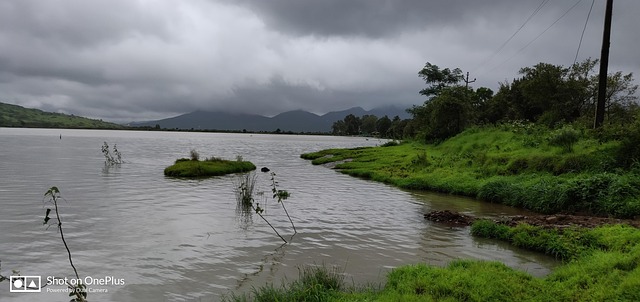 Free Grass Lake photo and picture