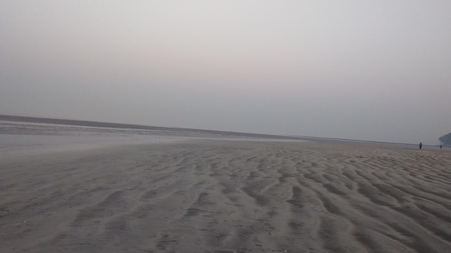 Free Wonderer Sea photo and picture