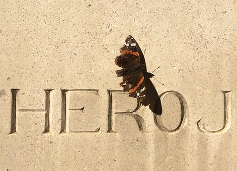 Free Hero Butterfly photo and picture