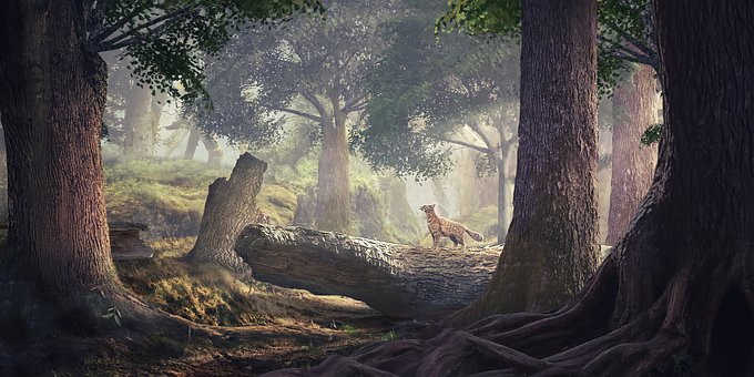 Free Cat Fantasy photo and picture