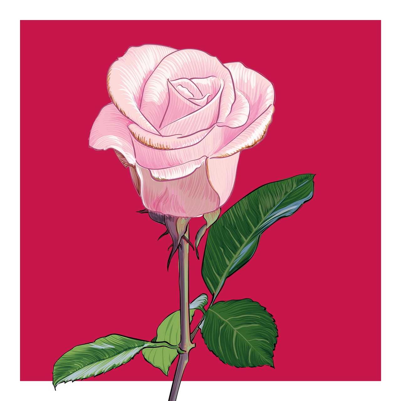 Kulturbeutel Mit Blumenmuster – Rosa Kosmetiktasche Für Reisen, Mit Reißverschlussfach & Gurt Zum Befestigen Am Koffer