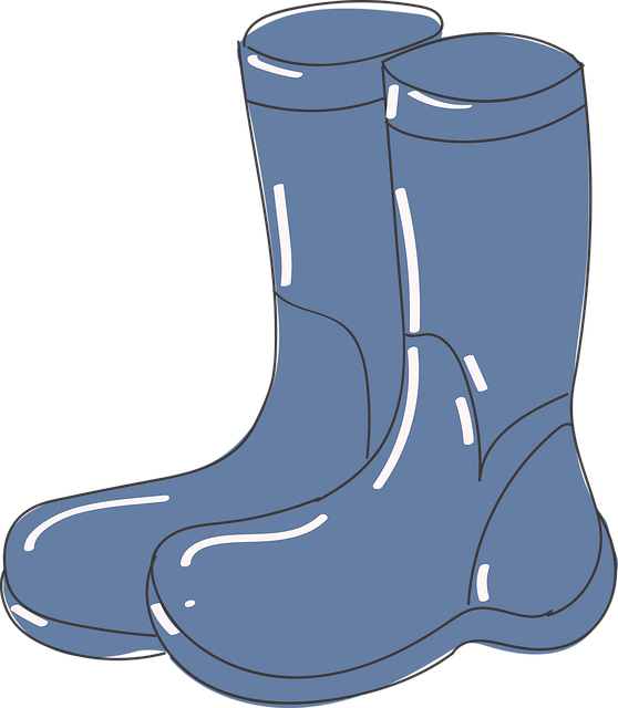 Free Boots Shoes vector and picture