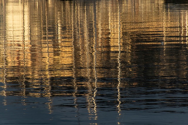 Free Sea Reflexes photo and picture