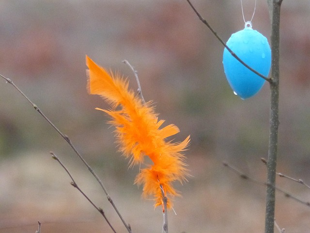Free Easter Feather Easter Eggs photo and picture