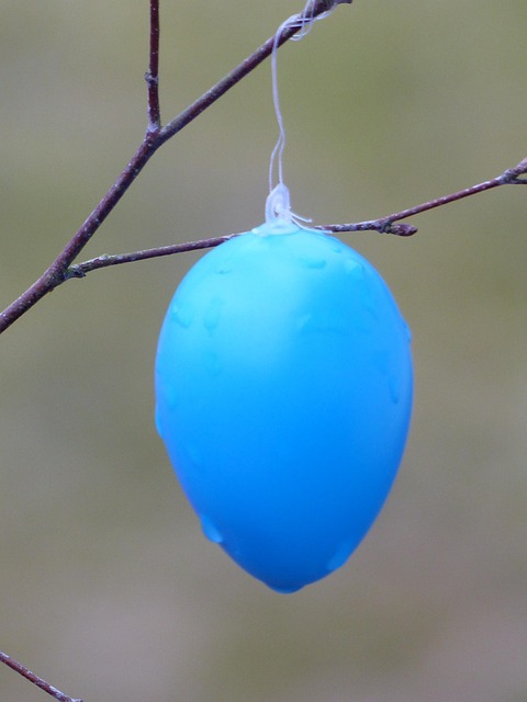 Free Easter Eggs Rice photo and picture