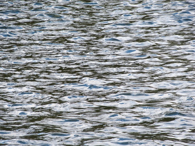 Free Background Water photo and picture
