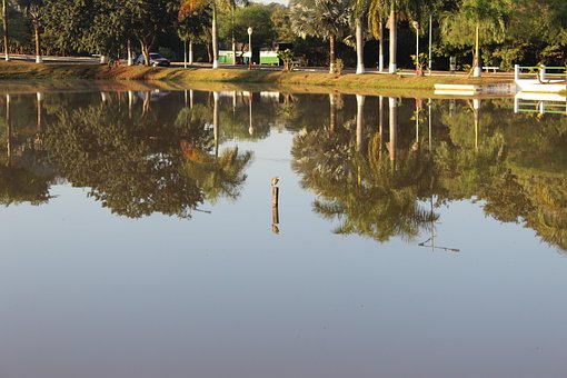 Free Lake Nature photo and picture