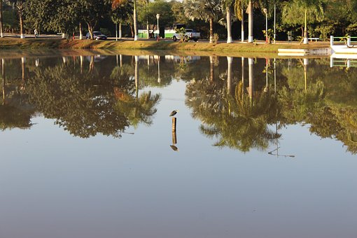 Free Water Nature photo and picture