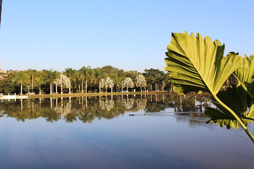 Free Water Nature photo and picture