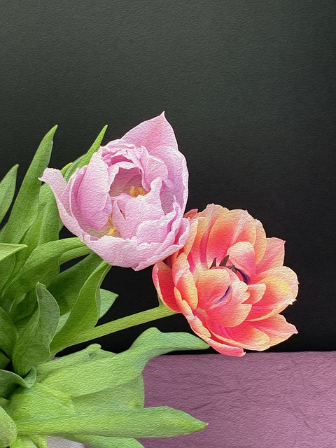 Blumen, Tulpen, Blütenblätter, Strauß