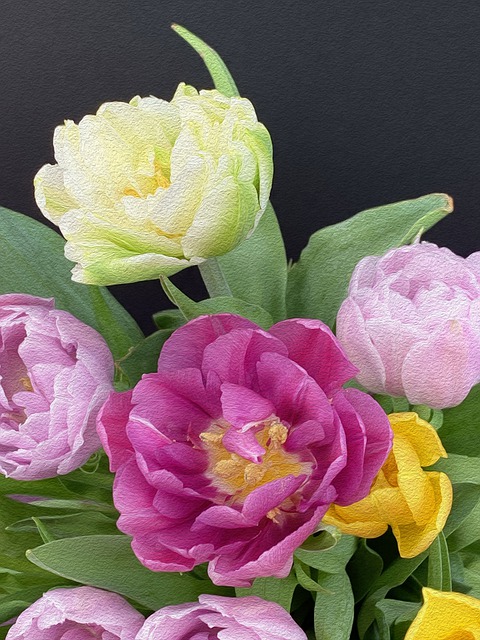 Blumen, Tulpen, Blütenblätter, Strauß