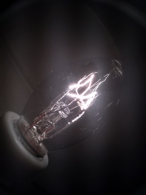 Free Light Lightbulb illustration and picture