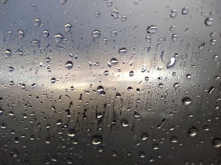 Free Rain Rainy illustration and picture