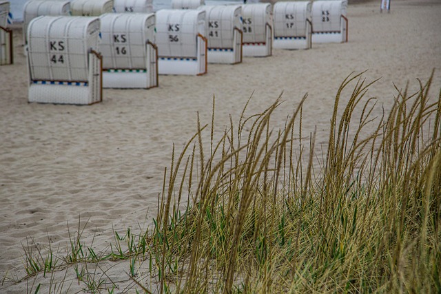 Free Beach Chair Dune photo and picture
