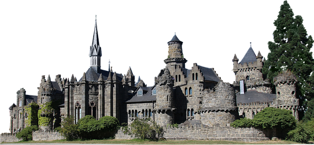 Free lion castle castle architecture illustration