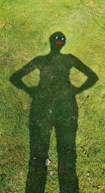 Free The Shade Figure photo and picture